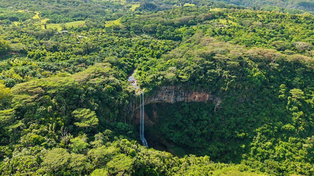 Aerial view of the Chamarel Waterfall surrounded by rainforest